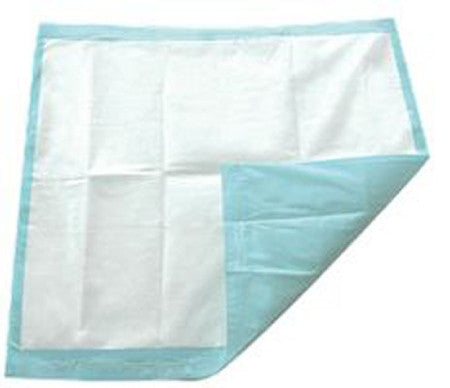 SECURE PERSONAL CARE SP113010 TotalDry Underpads 30 X 30 (CS)