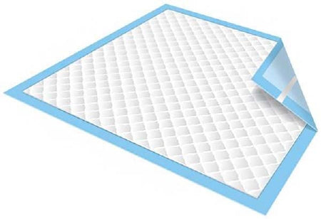 SECURE PERSONAL CARE SP115412 TotalDry 30 X 36 Disposable Underpad (BG)